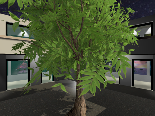 Echoaniac's Universe