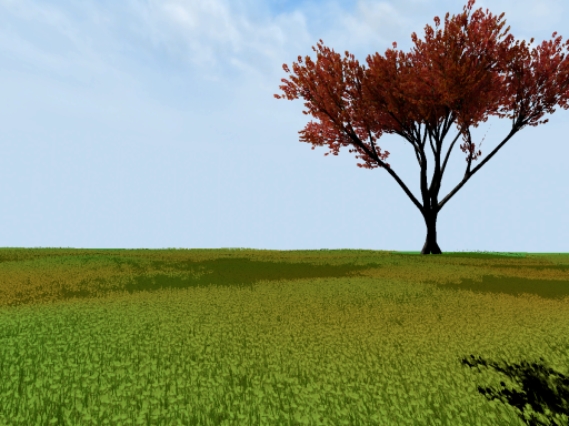 Valley Of The Cherry Blossoms