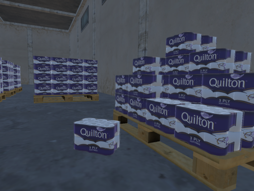 A Lifetime Supply of Toilet Paper