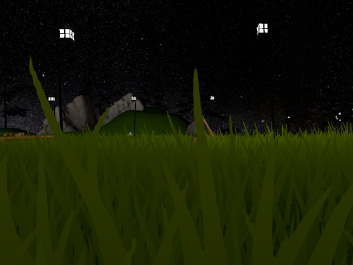 Night Time Nature Hangout