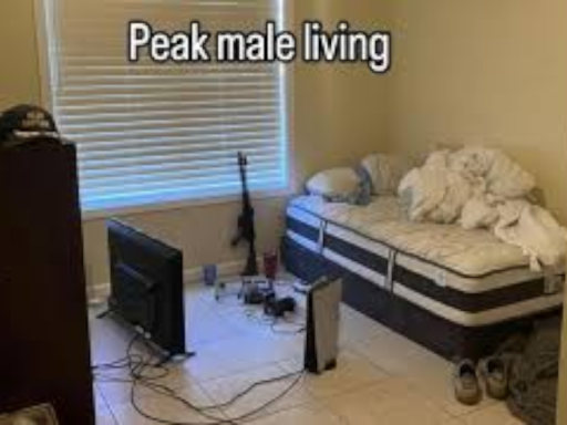 Ketamines Avis and Home