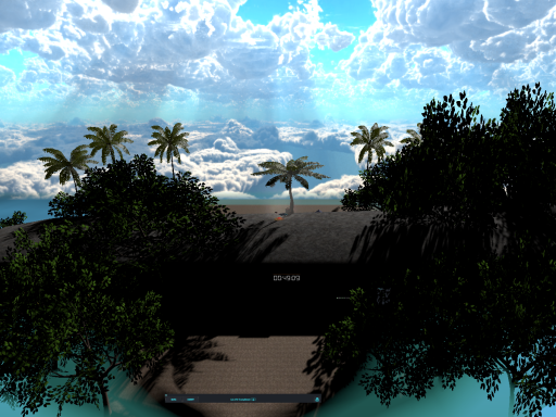 the noisy birds private beach ノイジーのプライベートビーチ