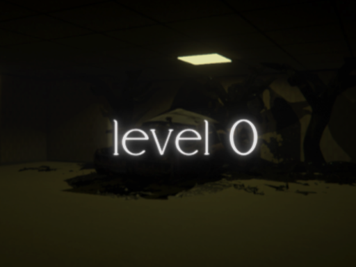 level 0