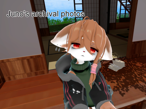 Juno's archival photos