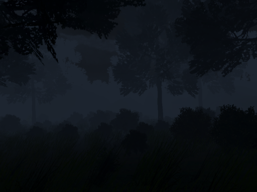 Deep Forest of Waldshagen Night time