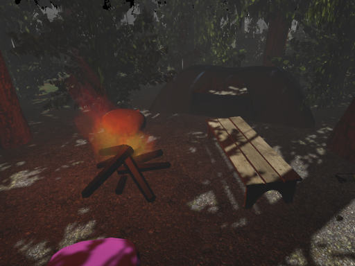 A rainy night in the woods