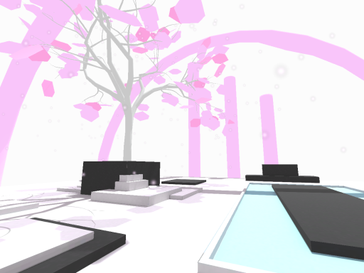 英語と日本語を勉強します - Practice Your Japanese|English