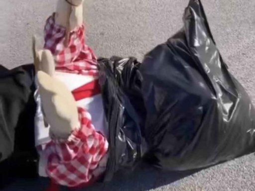 Chuck E Cheese Avatar Stuff