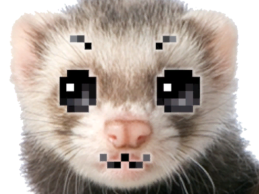 Sam's Ferret Avatar