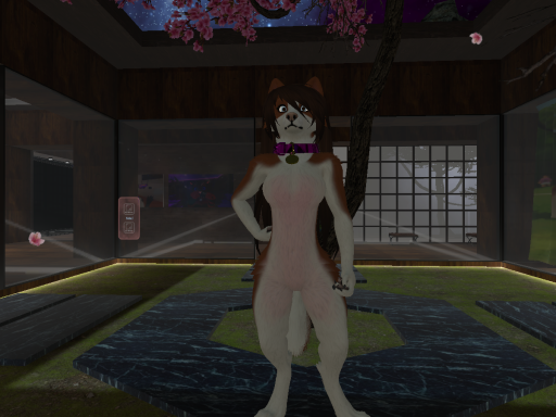 Wolflove's paradise⁄avatar world