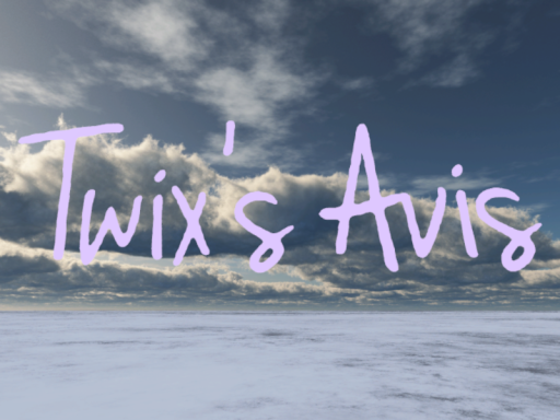 NPC and DM Avatar World