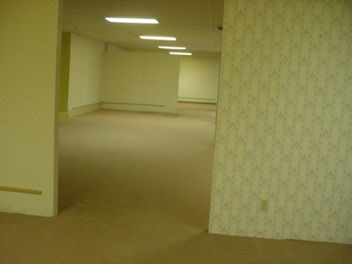 Shiny's Backrooms （V0․3）