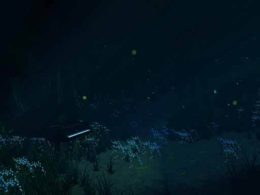 Forest of piano ˸ 피아노의 숲