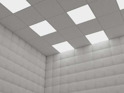 Secure Psychiatric Room