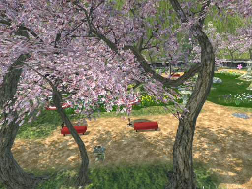 Japanese Garden - Sakura