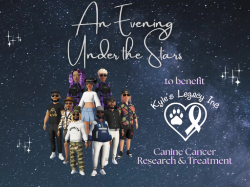 Kyle's Legacy An Evening Under the Stars