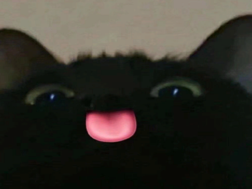 Lord Skai's sweet home