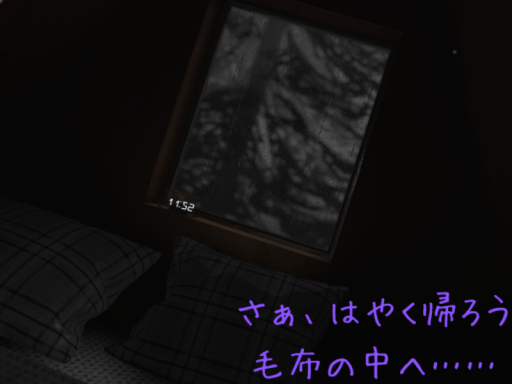 やっと、帰ってこれた寝