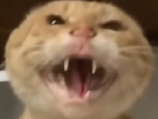 鱼竿猫猫模型房