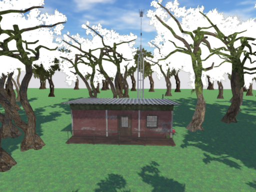 StandsWithTrees' Ham Shack