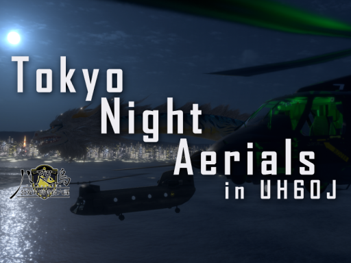 Tokyo Night Aerials in UH60J