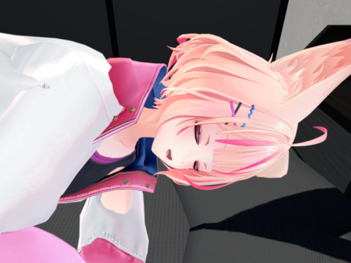 ふぁふぁと寝るだけの部屋