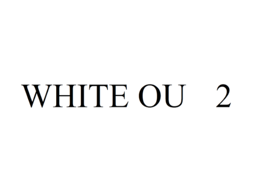 謎解きワールド「WHITE OUT 2」