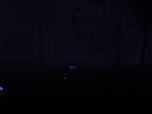 Midnight Forest