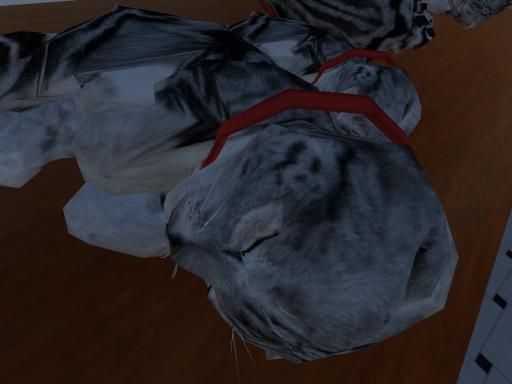 HotelHouse with CatRoom