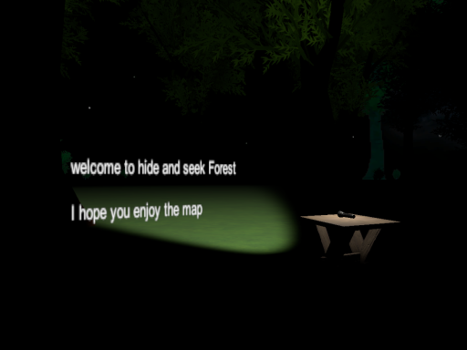 hide and seek Forest