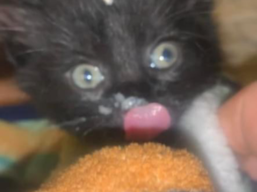 Vr Grace Christan Church