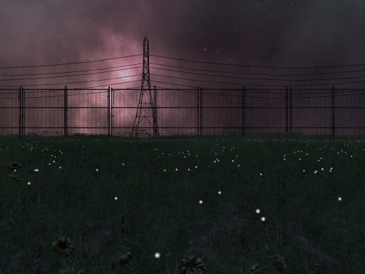 Night field