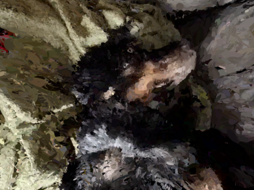 silly gaussian splat