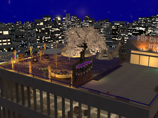 POP_Cat Rooftop Camp