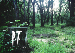 Silent Hill P․T․