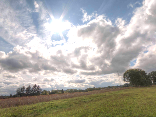 Stealth House and Furry Avatar ＋Quest Video Player with Auto Web Link․WIP․