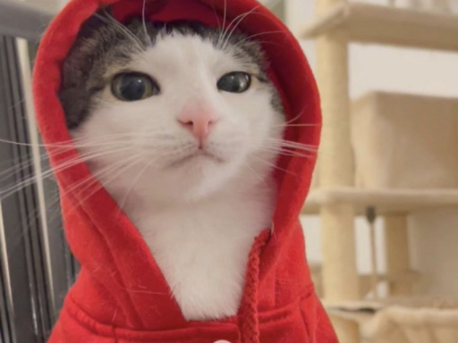 Rivera's Home Theater