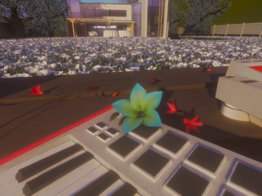 A Place Where We Can Dream Together