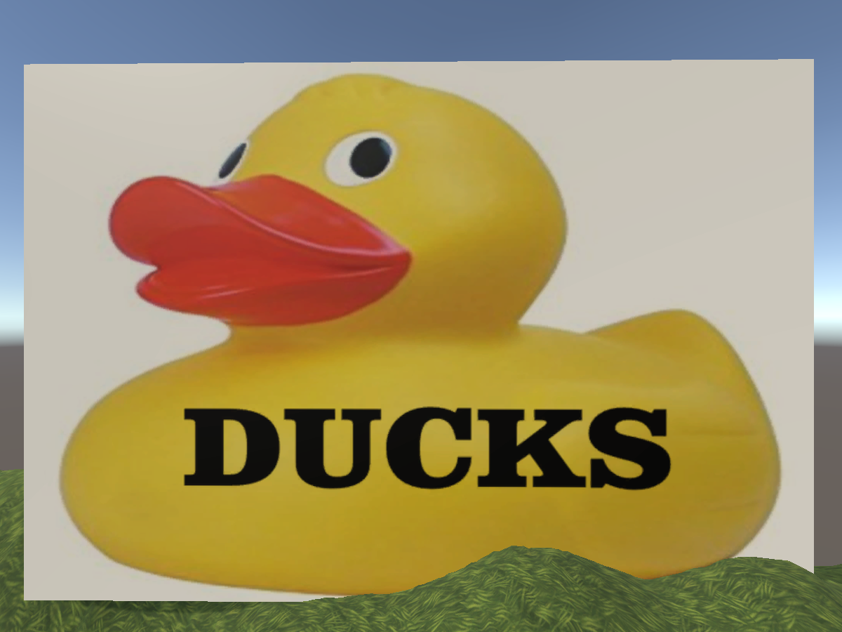 The Duck World