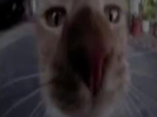 One bad gloop and she do what i yoinky