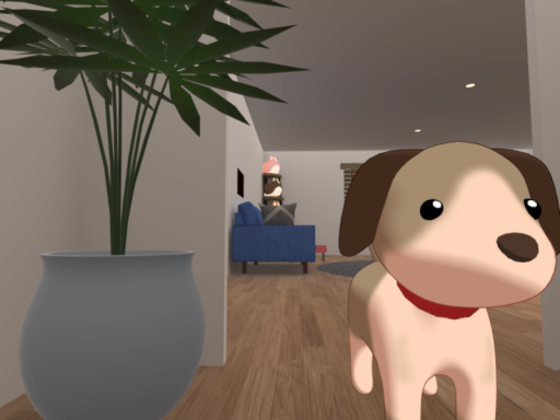 inu小屋 上海あるよ