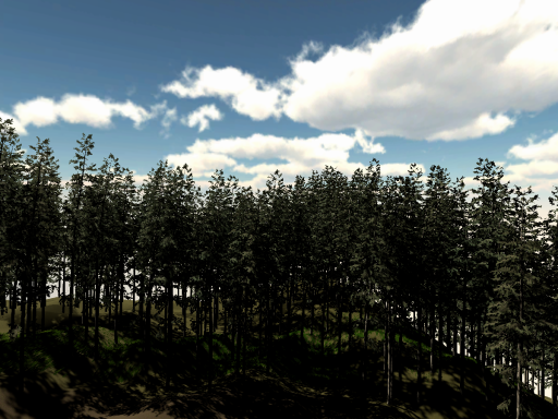 Deutscher Forest Hangout