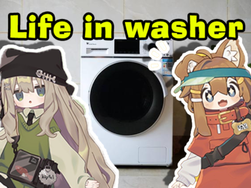 Life in washer