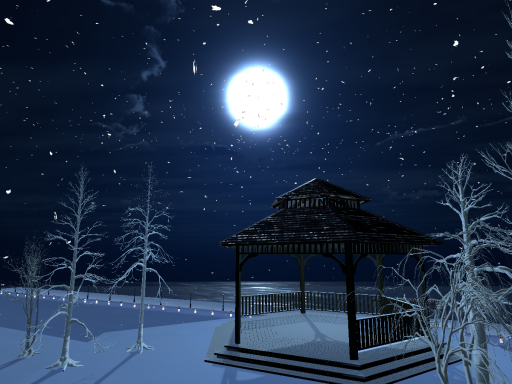 Winter Night Park
