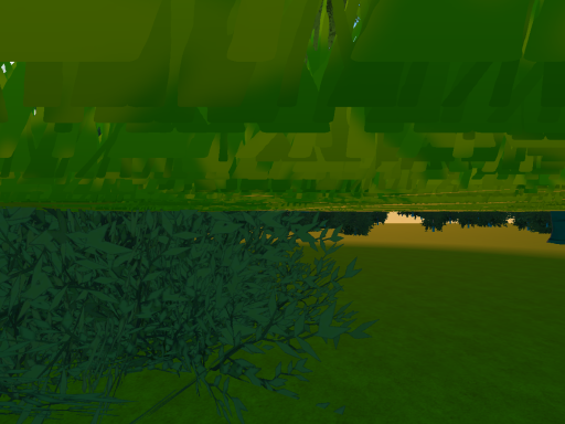 A world full of Nature