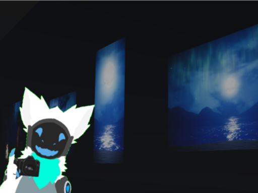 Max's Photography Display