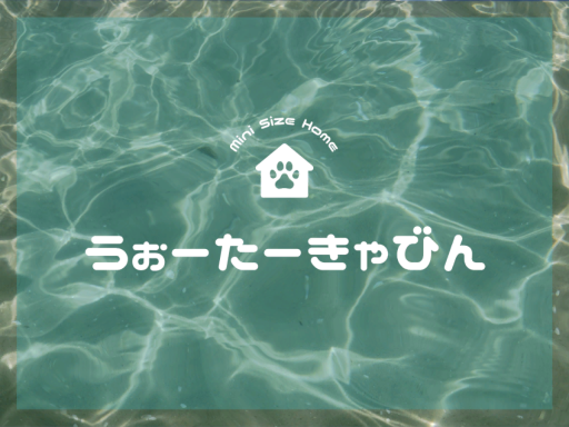 うぉーたーきゃびん