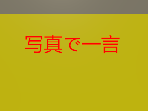 A word to the picture 写真で一言