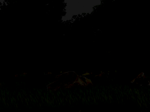 Bloom Forest （Night）