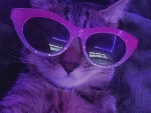 Gato´s optmized world